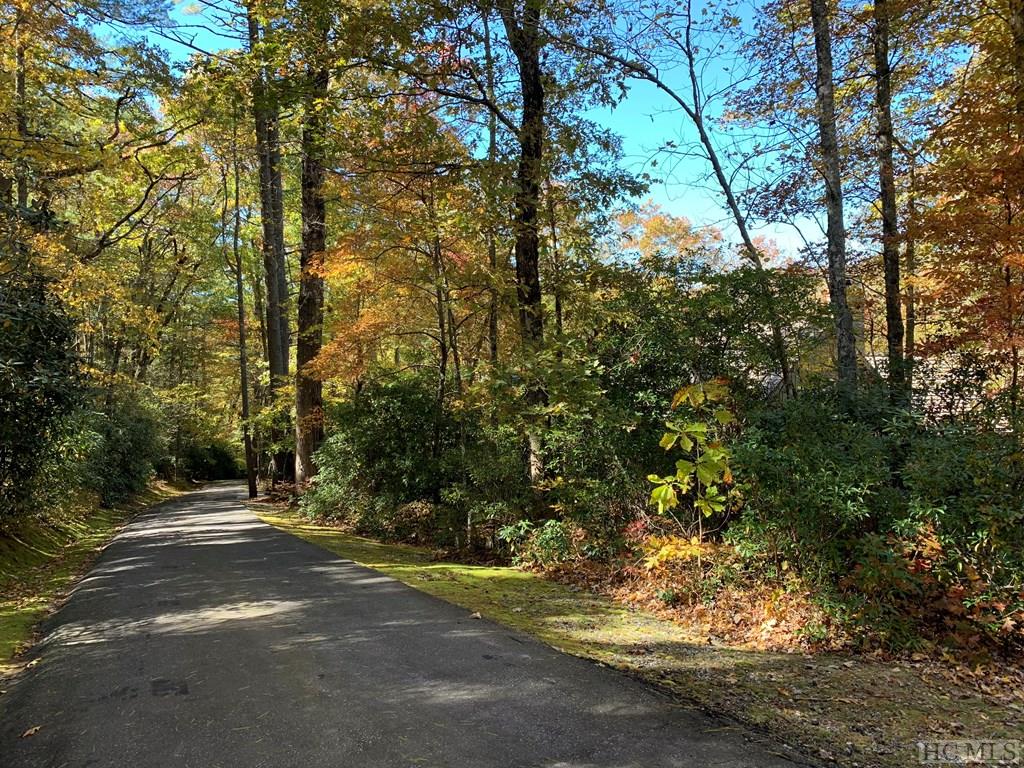 Pt Tr C Ruffed Grouse Road Cashiers, NC 28717 - Photo 4 of 4 Gallery Image 4