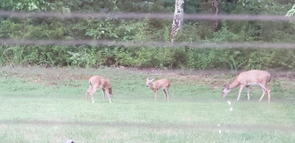 12200 Franklin Road College Grove, TN 37046 - Photo 71 of 72