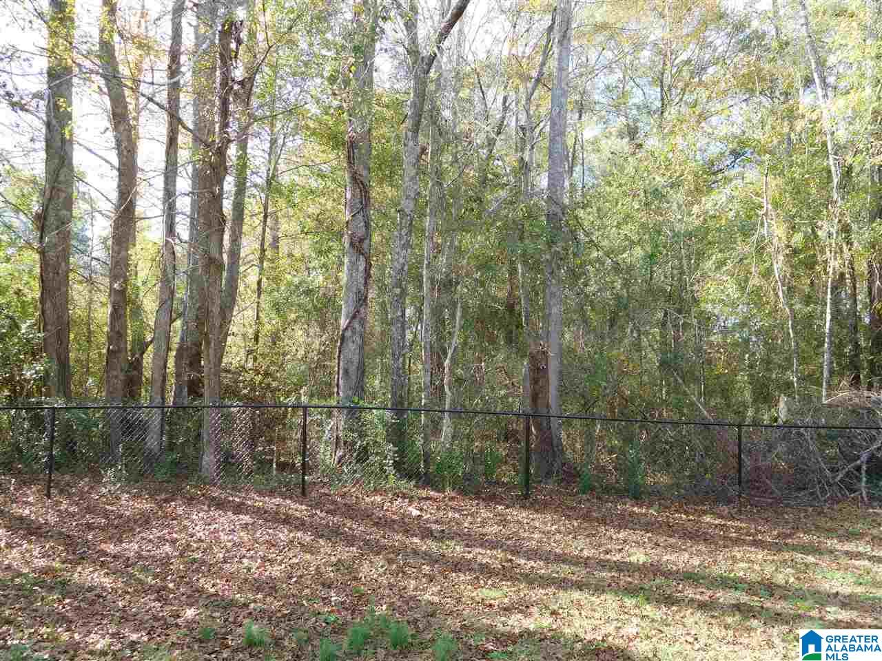201 Lay Lake Lane Sylacauga, AL 35151 - Photo 15 of 23