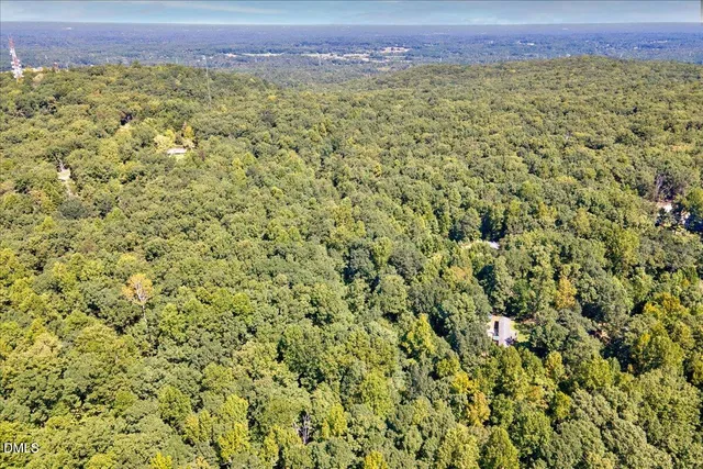 a view of a large yard with lots of green trees