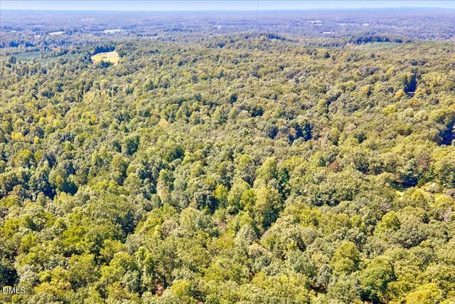 view of a field with a mountain in the background