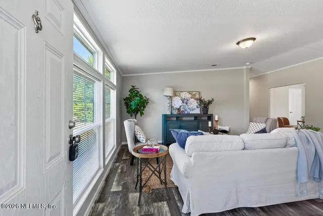 a living room with furniture potted plant and a large window