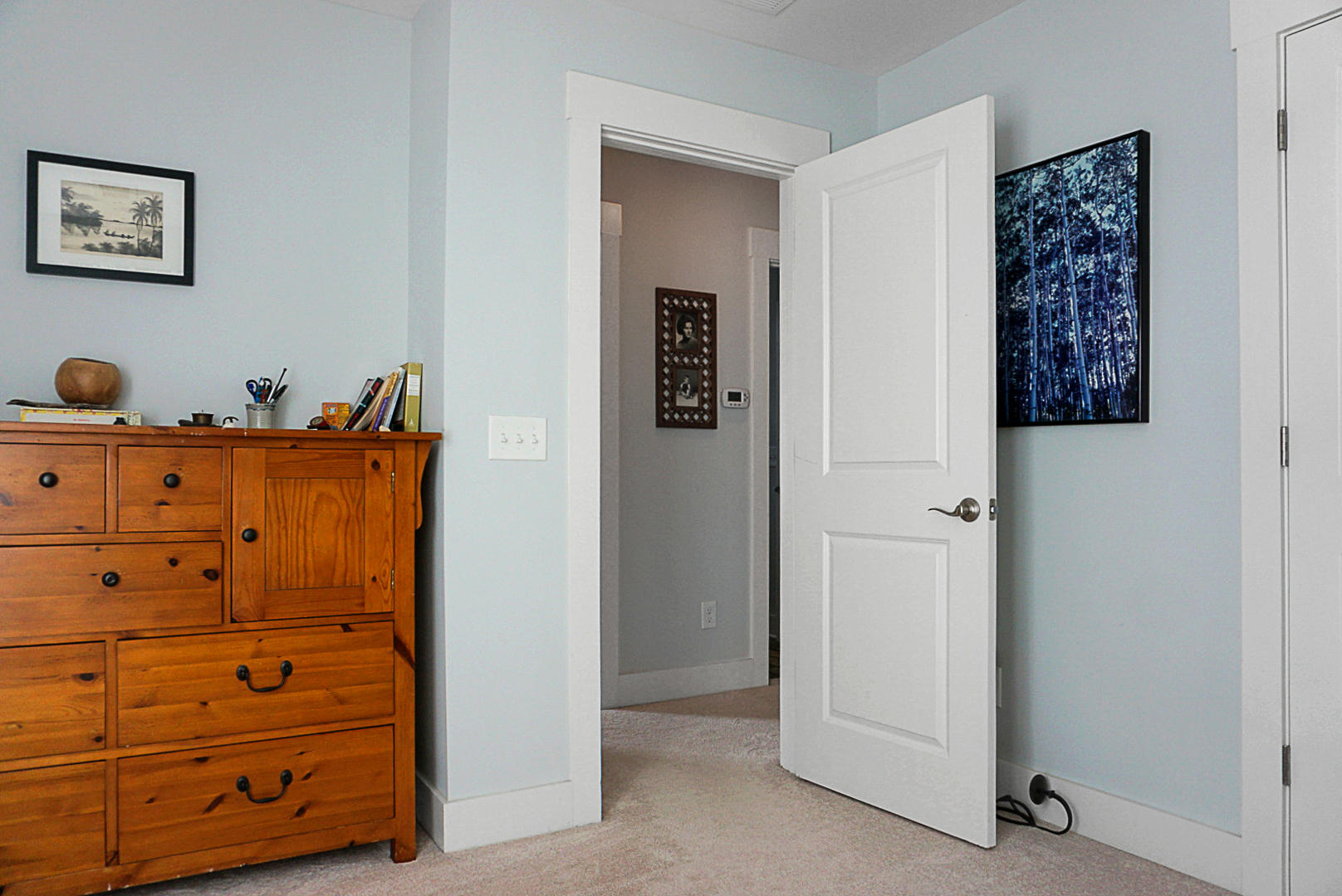 1905 Hollings Road Charleston, SC 29412 - Photo 33 of 36 DSC03128