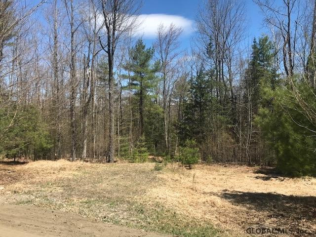 756 River Road Riparius, NY 12862 - Photo 2 of 2 Photo 2