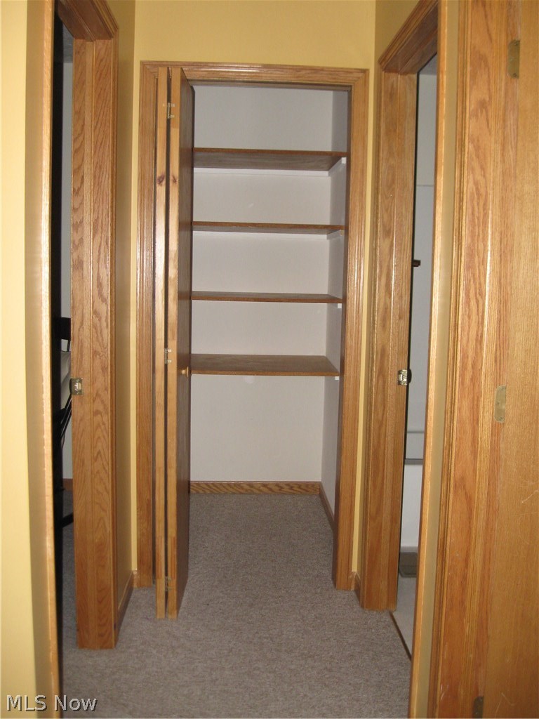 52 Beech Street Rittman, OH 44270 - Photo 29 of 35 Portion of upstairs hall showing very large, deep linen closet.