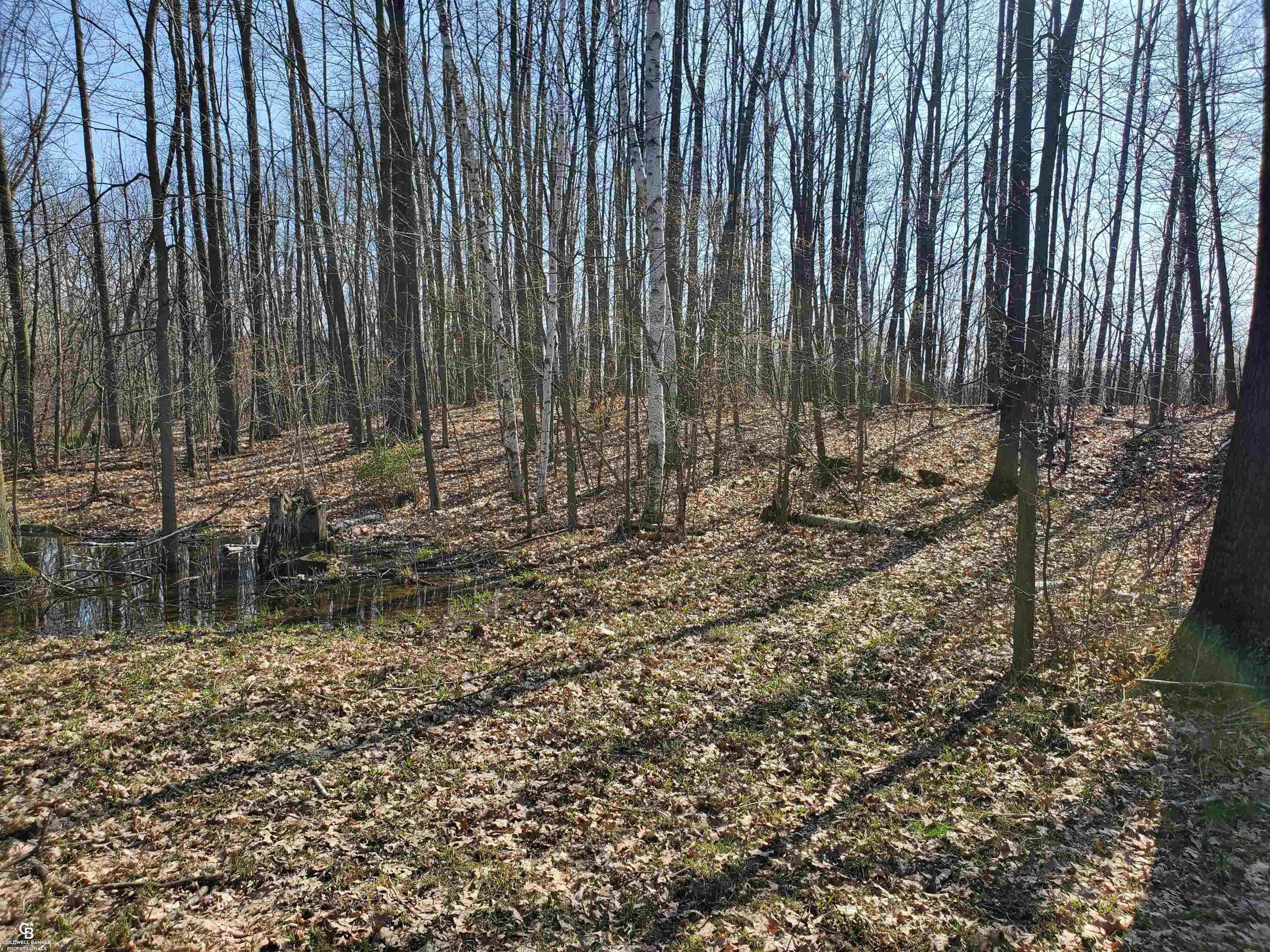 8731 Mason Road Yale, MI 48097 - Photo 38 of 40