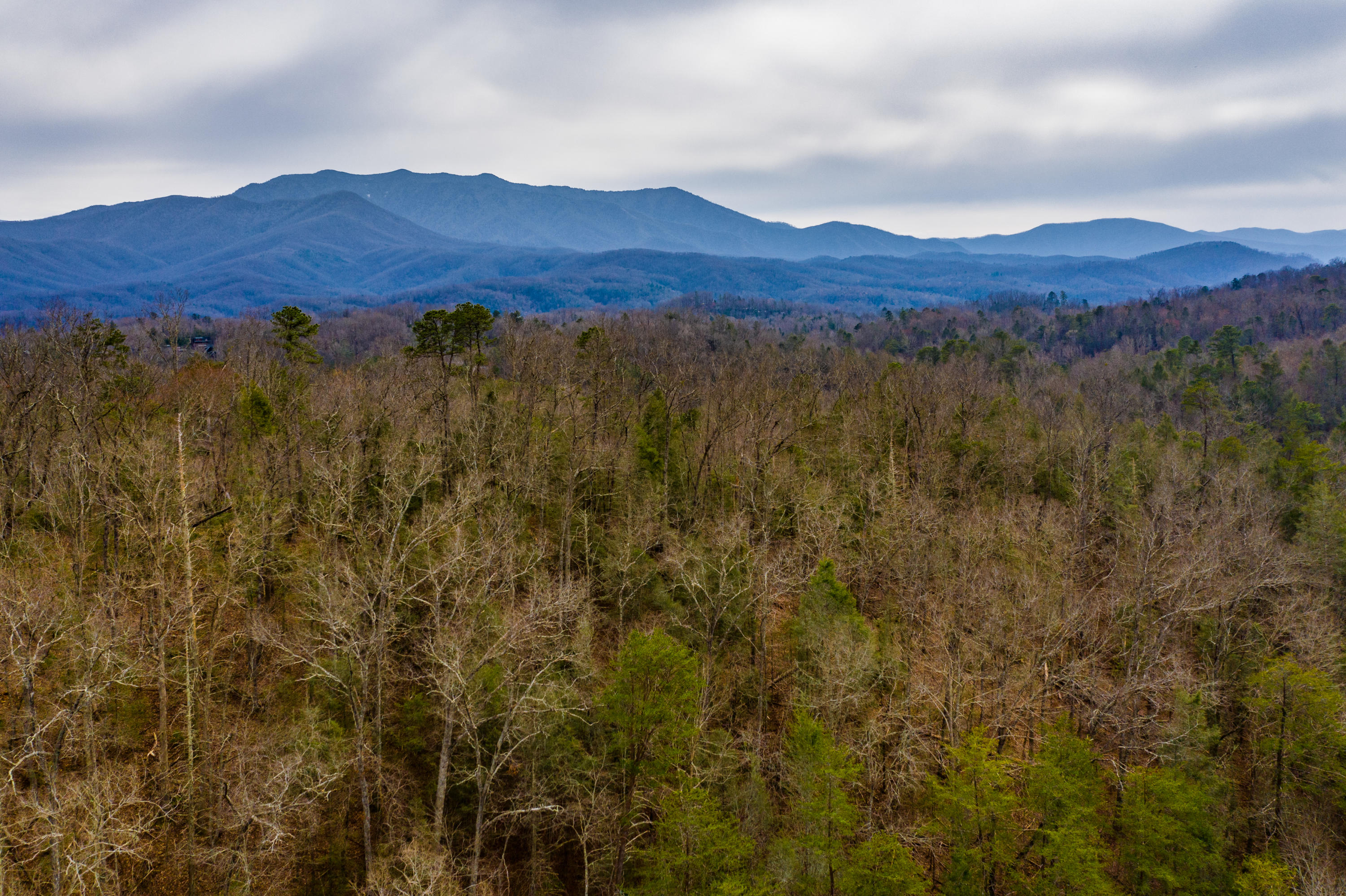 1008 Powdermill Road Gatlinburg, TN 37738 - Photo 30 of 39 DJI_0559