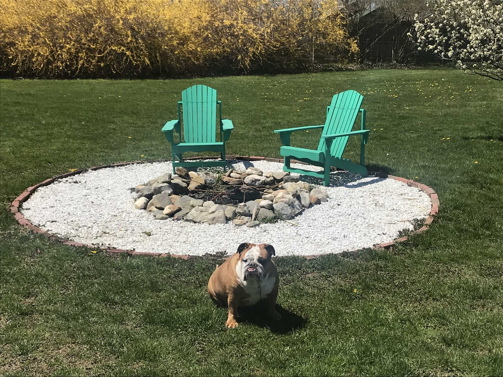 32 Spencer Lane Millerton, NY 12546 - Photo 8 of 29 a view of a golf course with chairs