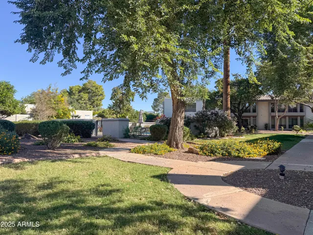 a view of a yard and front view