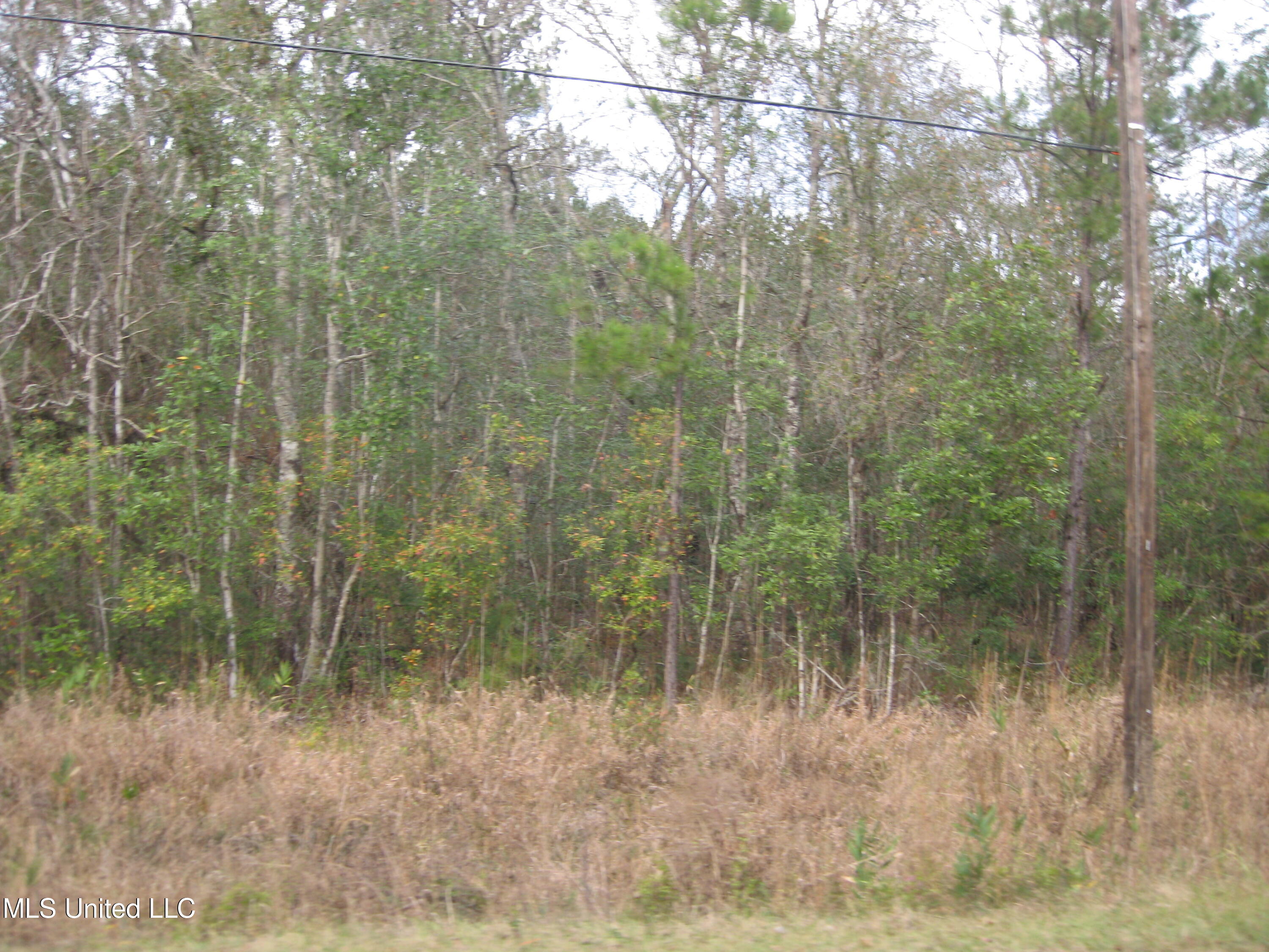 23 Saucier Lizana Road Saucier, MS 39574 - Photo 2 of 4 IMG_0668