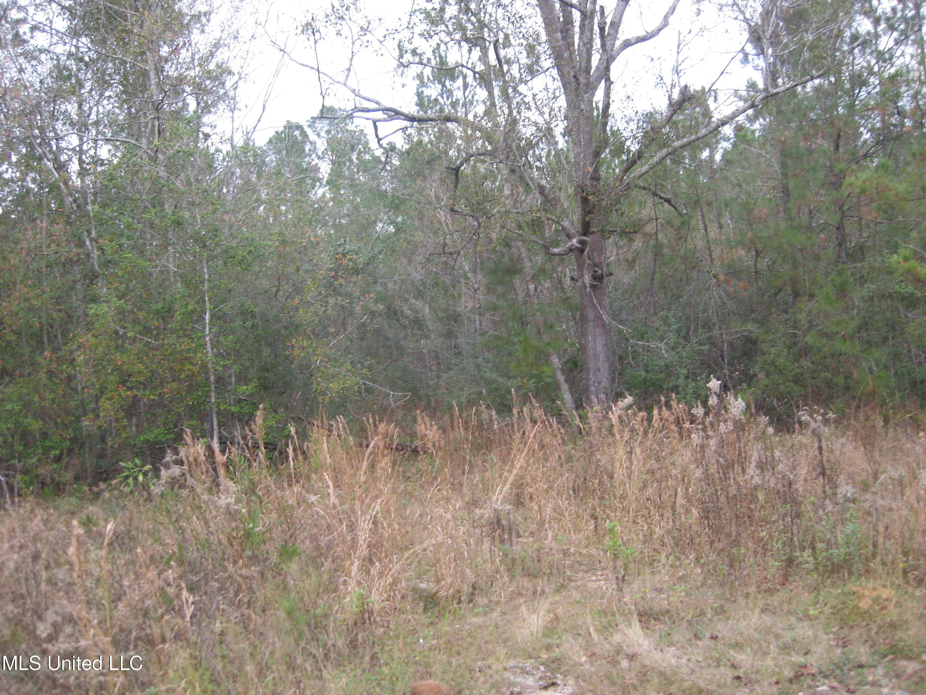 23 Saucier Lizana Road Saucier, MS 39574 - Photo 3 of 4 IMG_0669