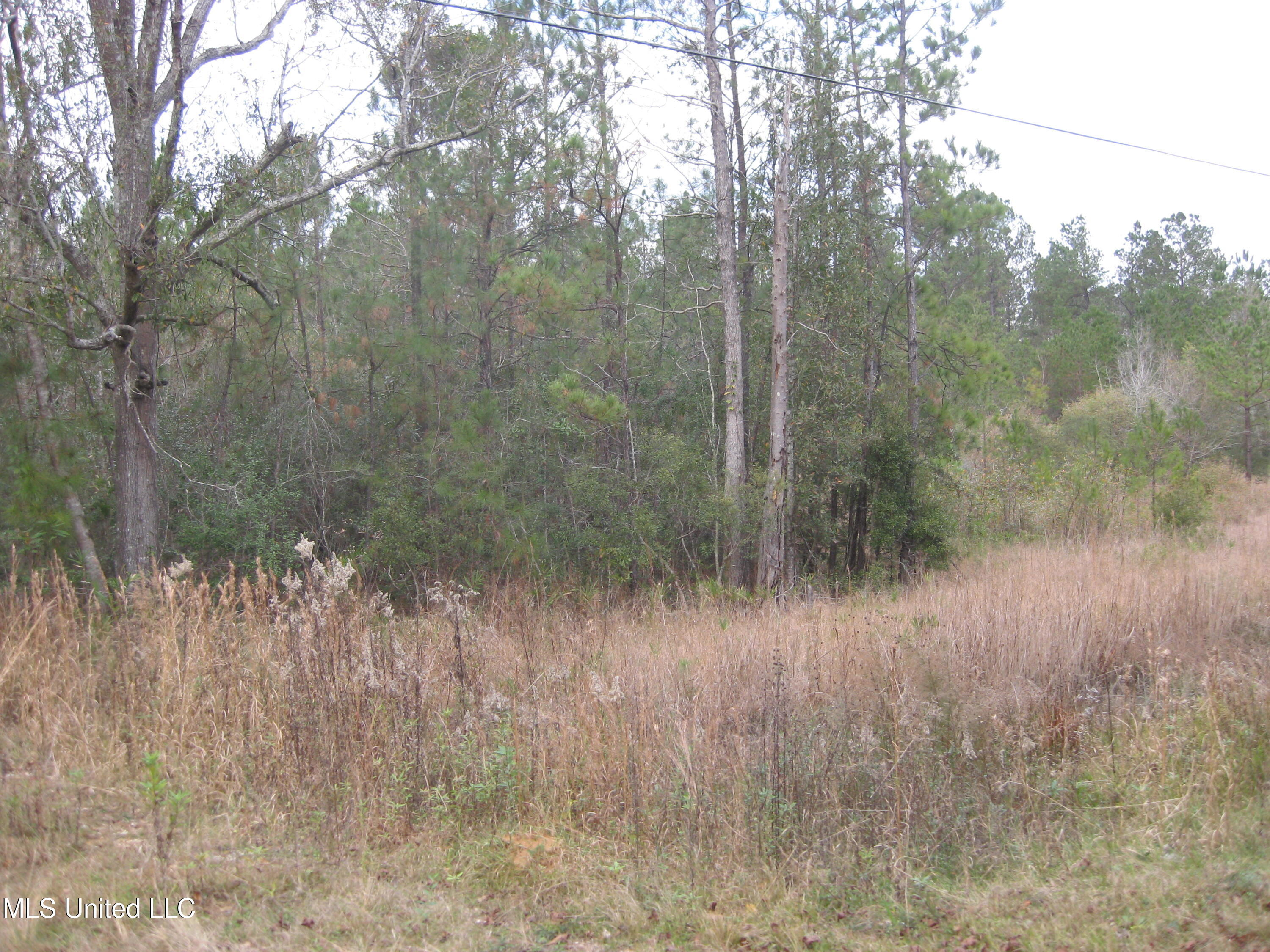 23 Saucier Lizana Road Saucier, MS 39574 - Photo 4 of 4 IMG_0671