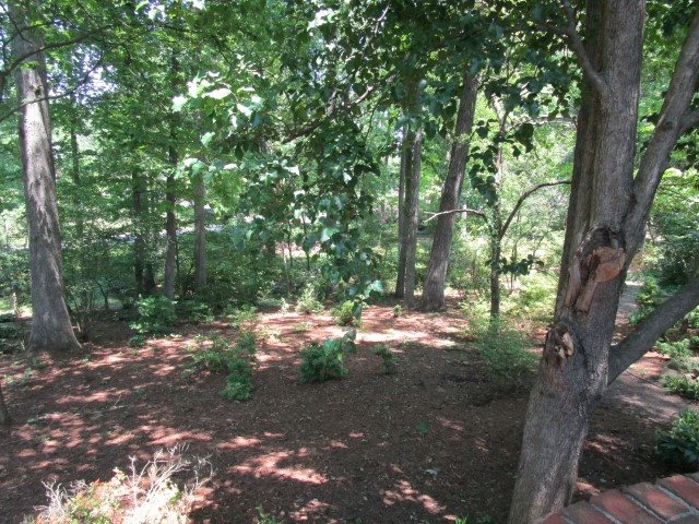 200 Homestead Road Anderson, SC 29621 - Photo 26 of 28