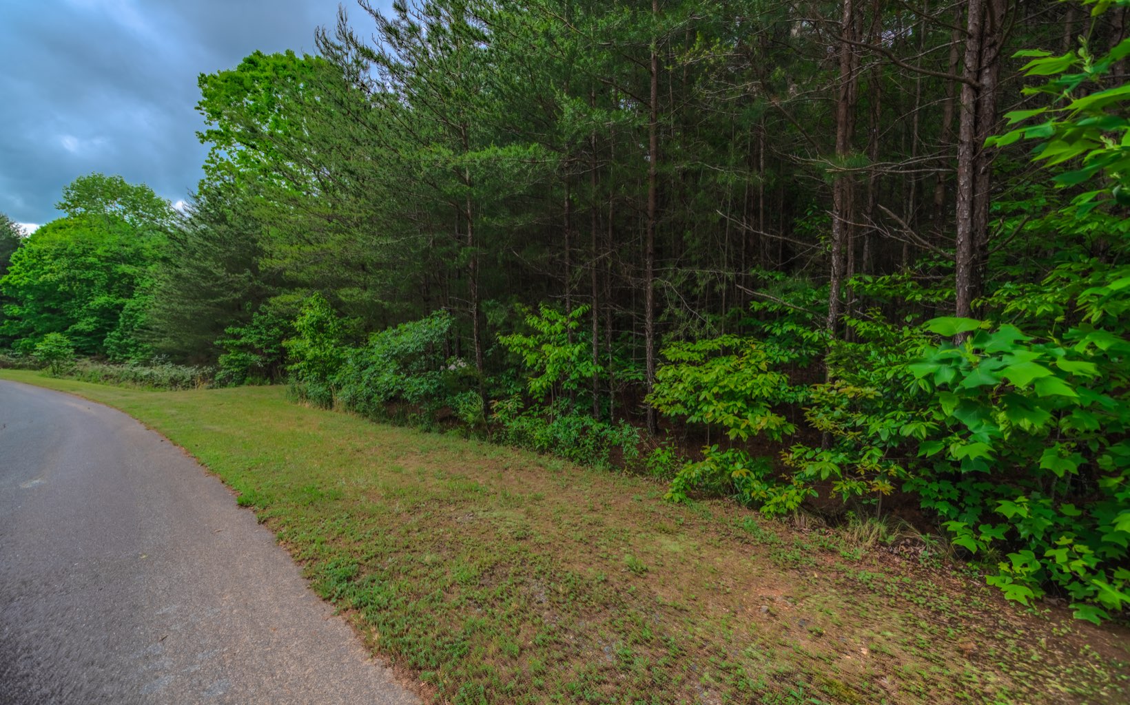 East Ridge Lane Ellijay, GA 30536 - Photo 1 of 1 a view of a yard with plants and large trees