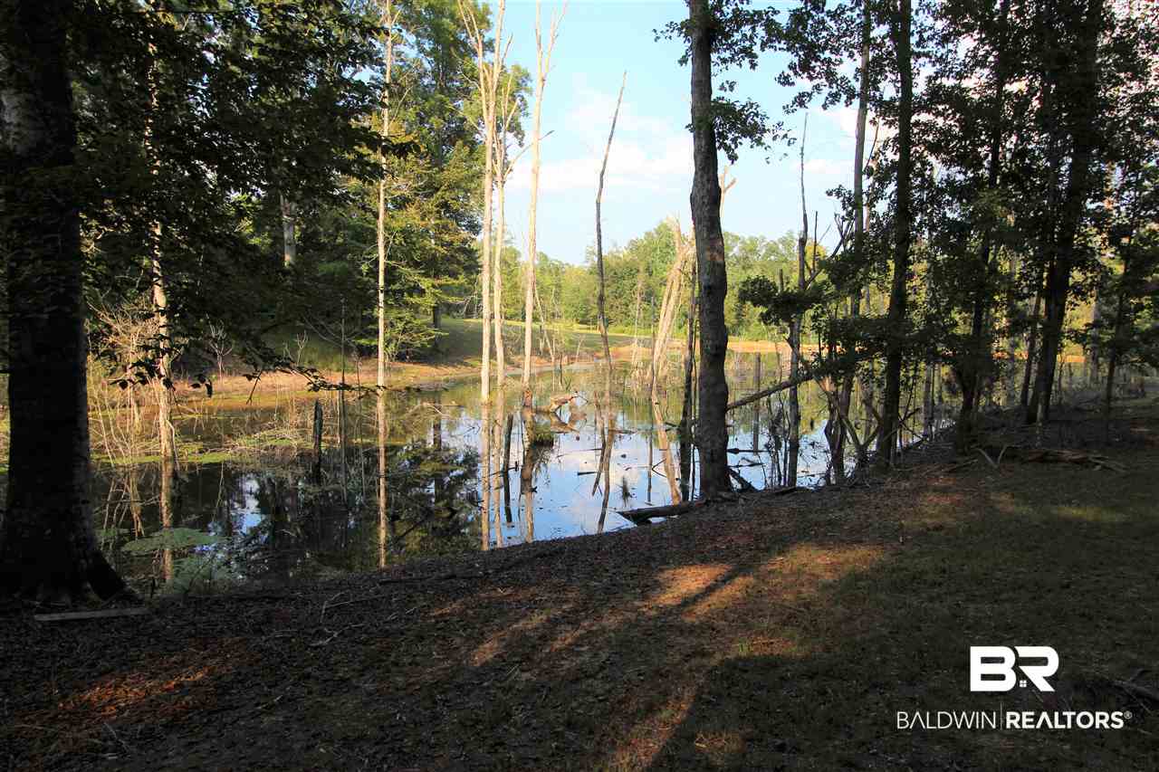 794 Dry Lake Road Luverne, AL 36049 - Photo 6 of 48 Pond