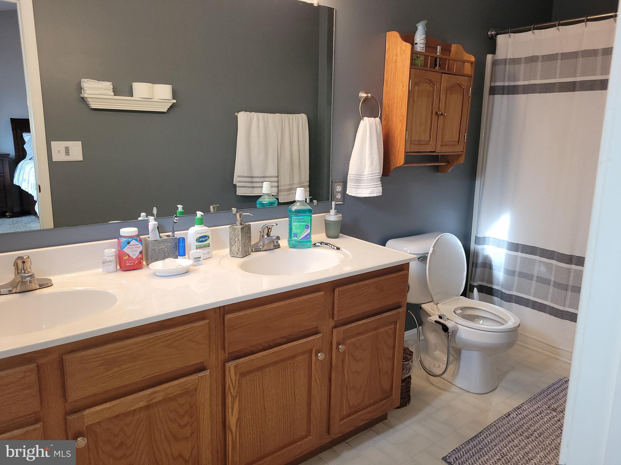 1045 Pond Ridge Drive Harrisburg, PA 17111 - Photo 11 of 25 a bathroom with a sink toilet and mirror