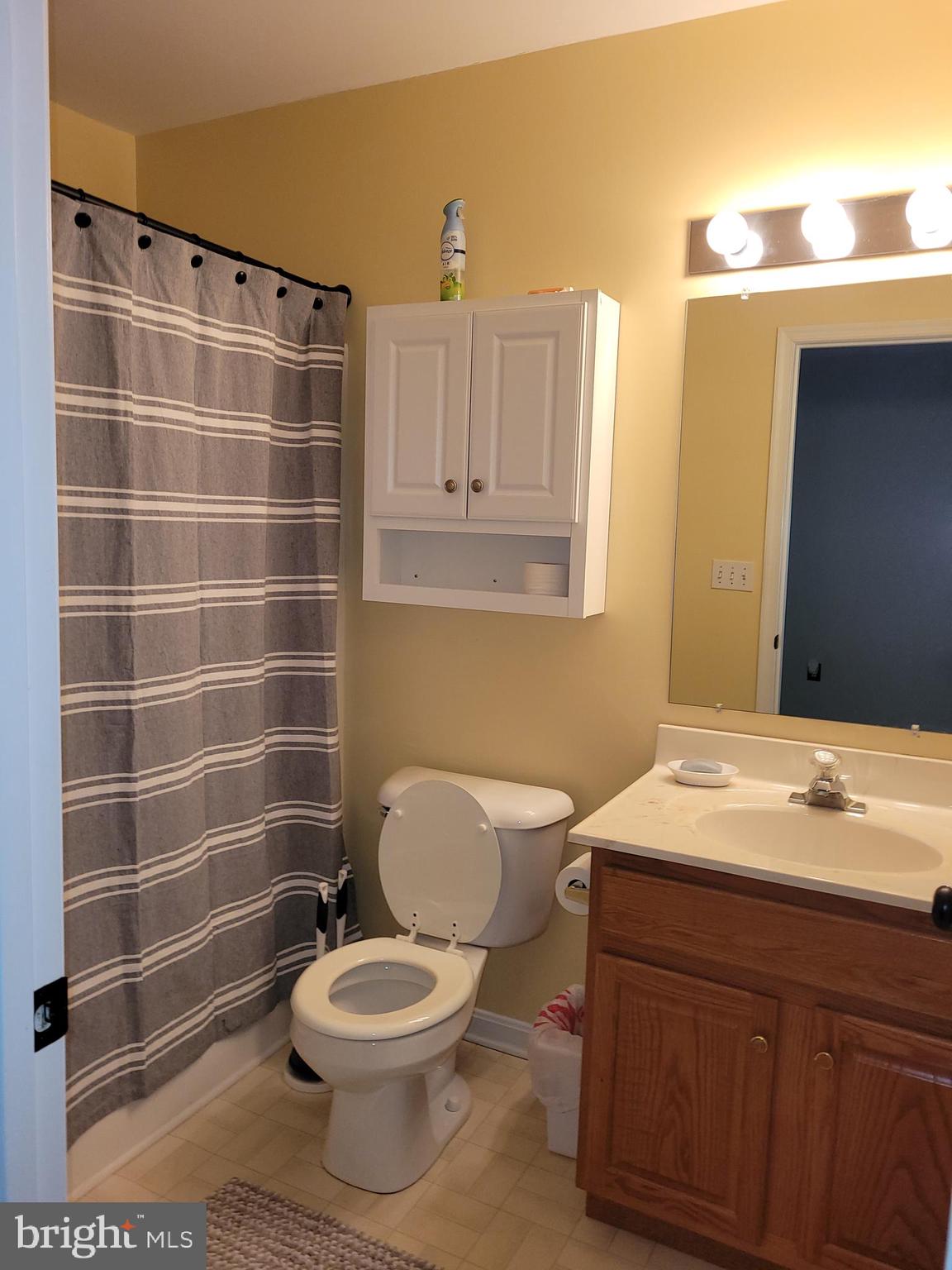 1045 Pond Ridge Drive Harrisburg, PA 17111 - Photo 20 of 25 a bathroom with a sink a toilet and shower