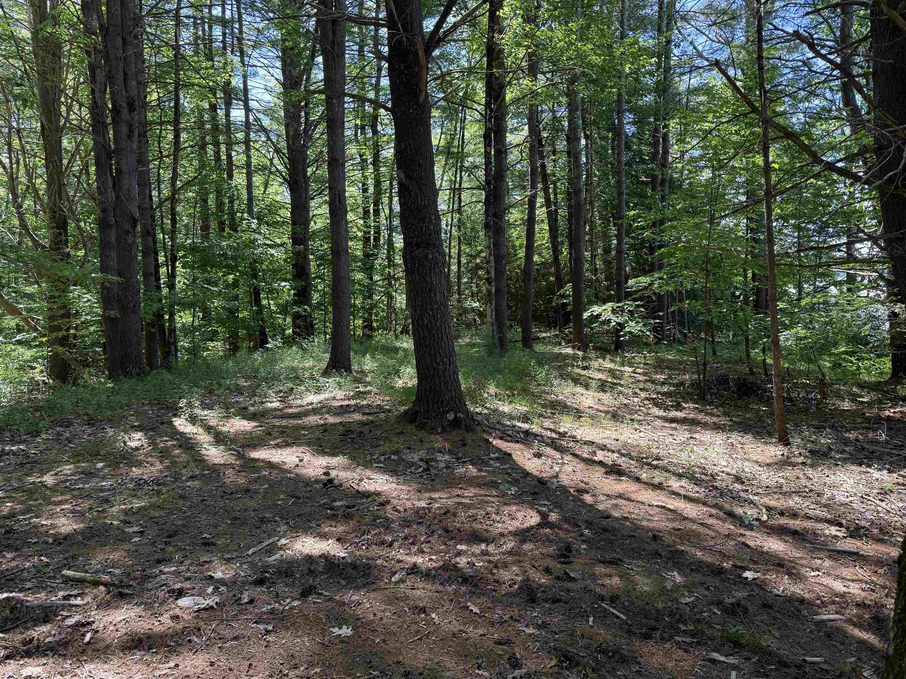 1229 State Route 30 Road Bomoseen, VT 05732 - Photo 45 of 48