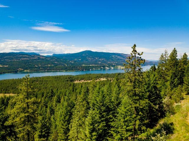 1653 Rickey Canyon Road Kettle Falls, WA 99141 - Photo 8 of 10