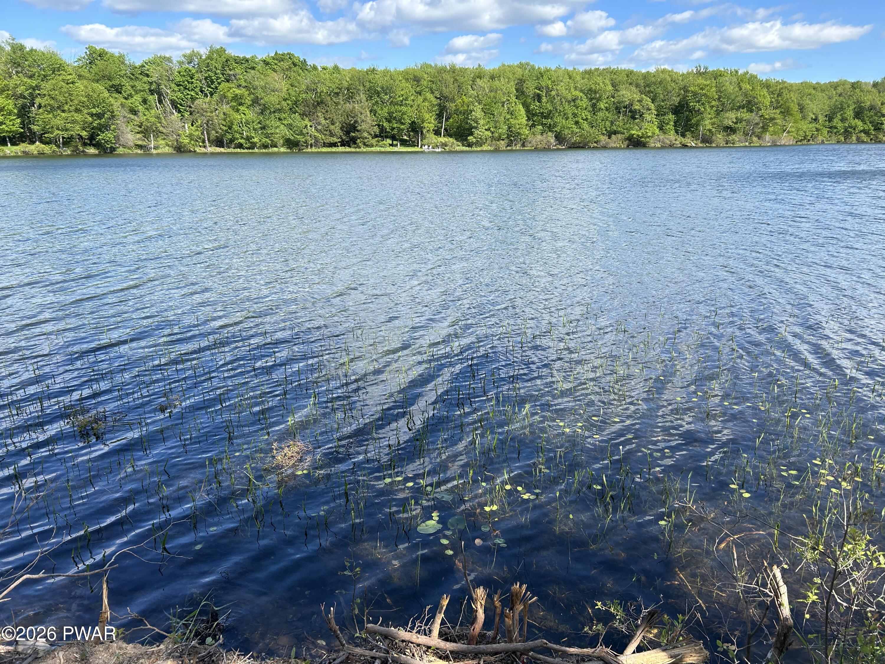 Lot R-c1 Spruce Lake Road Thompson, PA 18465 - Photo 15 of 19