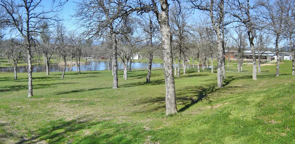 11938 Intermountain Road Redding, CA 96003 - Photo 13 of 14 a view of a park