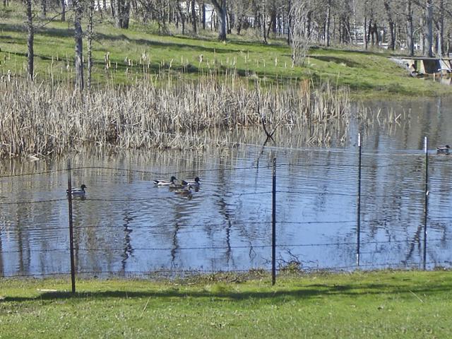 11938 Intermountain Road Redding, CA 96003 - Photo 4 of 14 a view of a lake with a building in the background