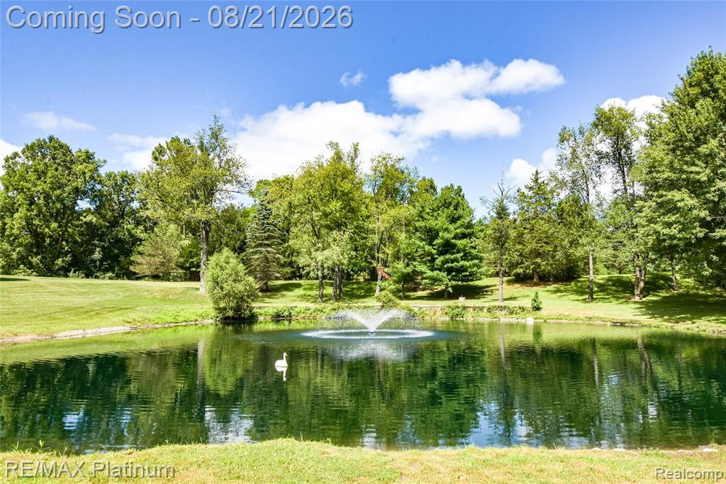 7650 North Owosso Road Fowlerville, MI 48836 - Photo 62 of 98 Gallery Image 62