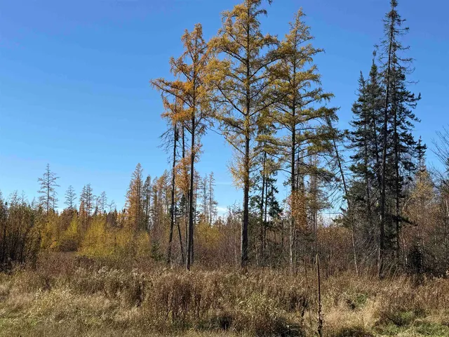 $80,000 | 10650 West Toivola Road, Meadowlands, MN 55765