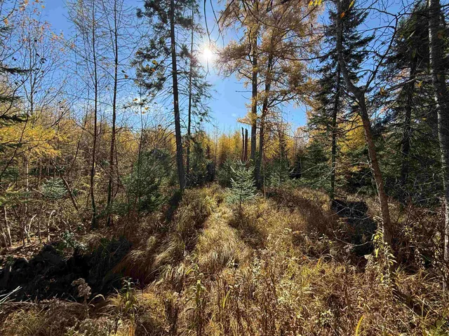 $80,000 | 10650 West Toivola Road, Meadowlands, MN 55765