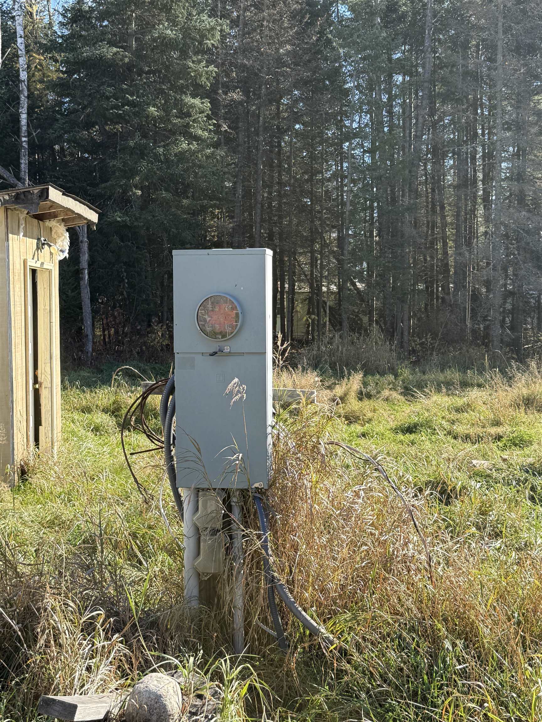 10650 West Toivola Road Meadowlands, MN 55765 - Photo 7 of 16 Exterior view