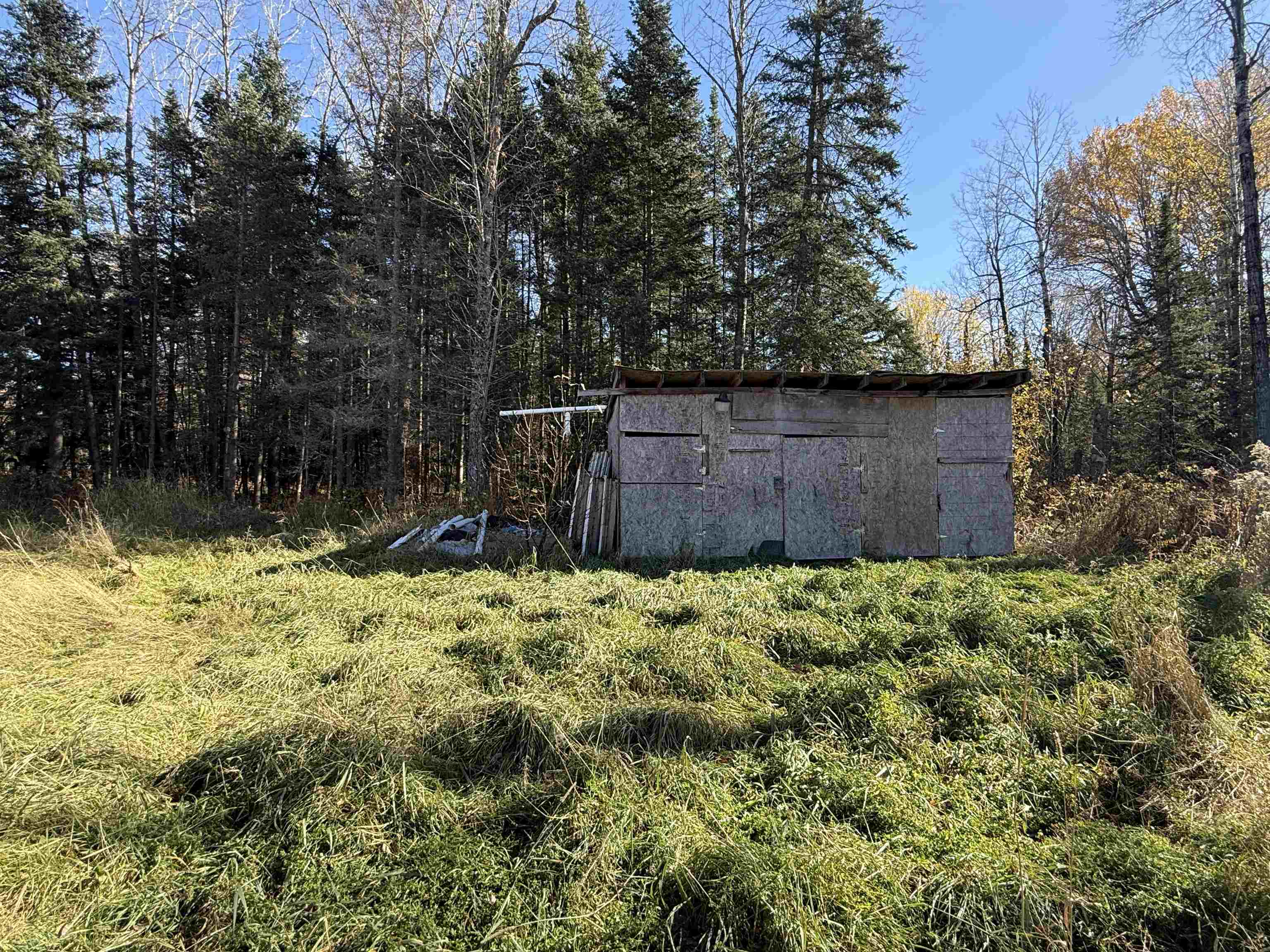 10650 West Toivola Road Meadowlands, MN 55765 - Photo 10 of 16 View of shed