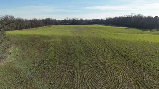 a view of yard with green space