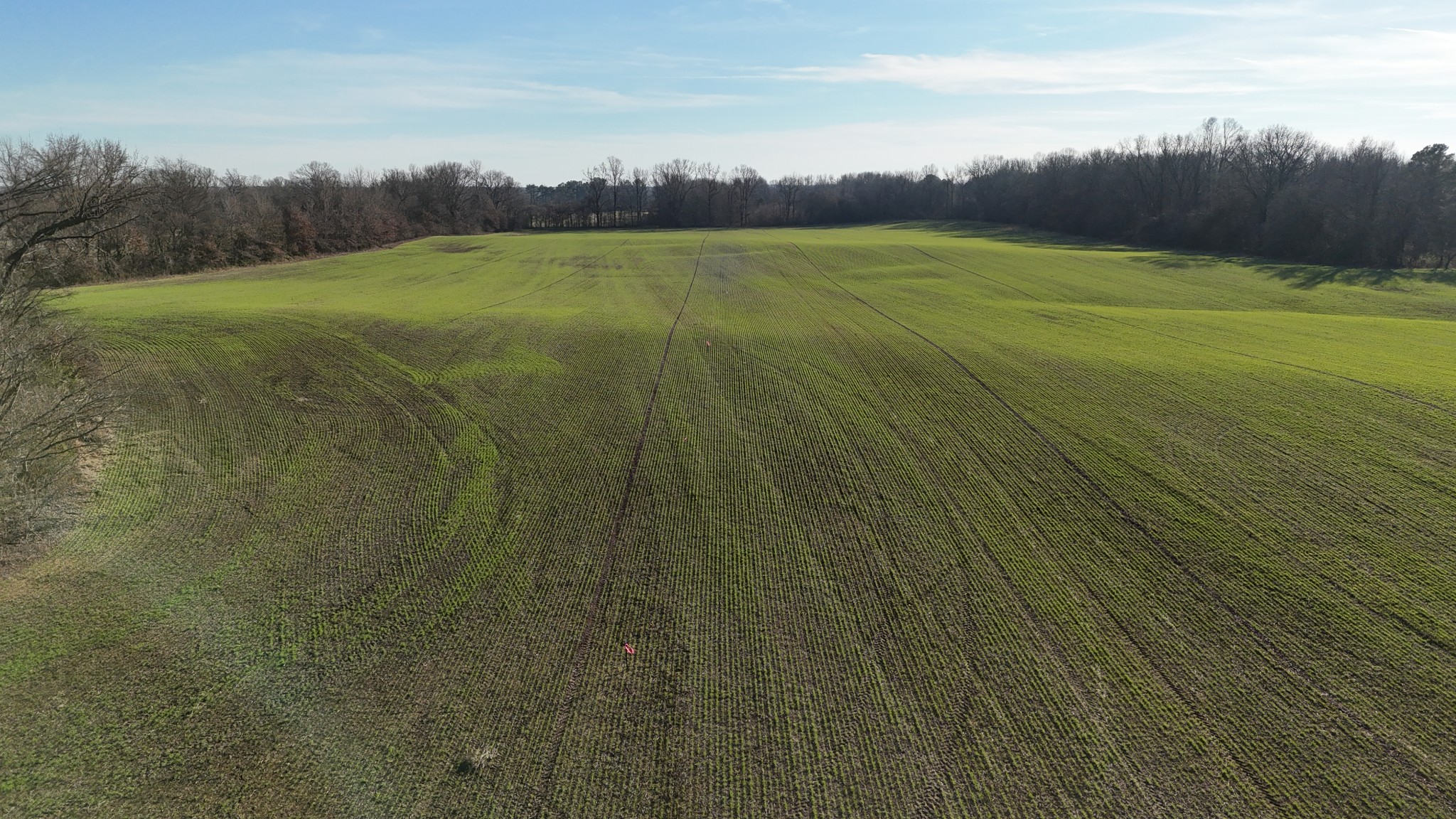 0 Chambers Road Millington, TN 38053 - Photo 3 of 11