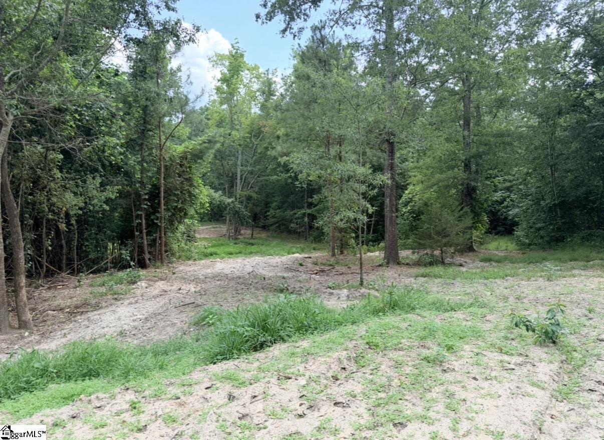 0 Lee Street Johnston, SC 29832 - Photo 17 of 21