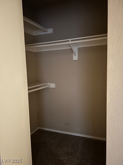 7885 West Flamingo Road, Unit 1064 Las Vegas, NV 89147 - Photo 15 of 19 Spacious closet with carpet flooring