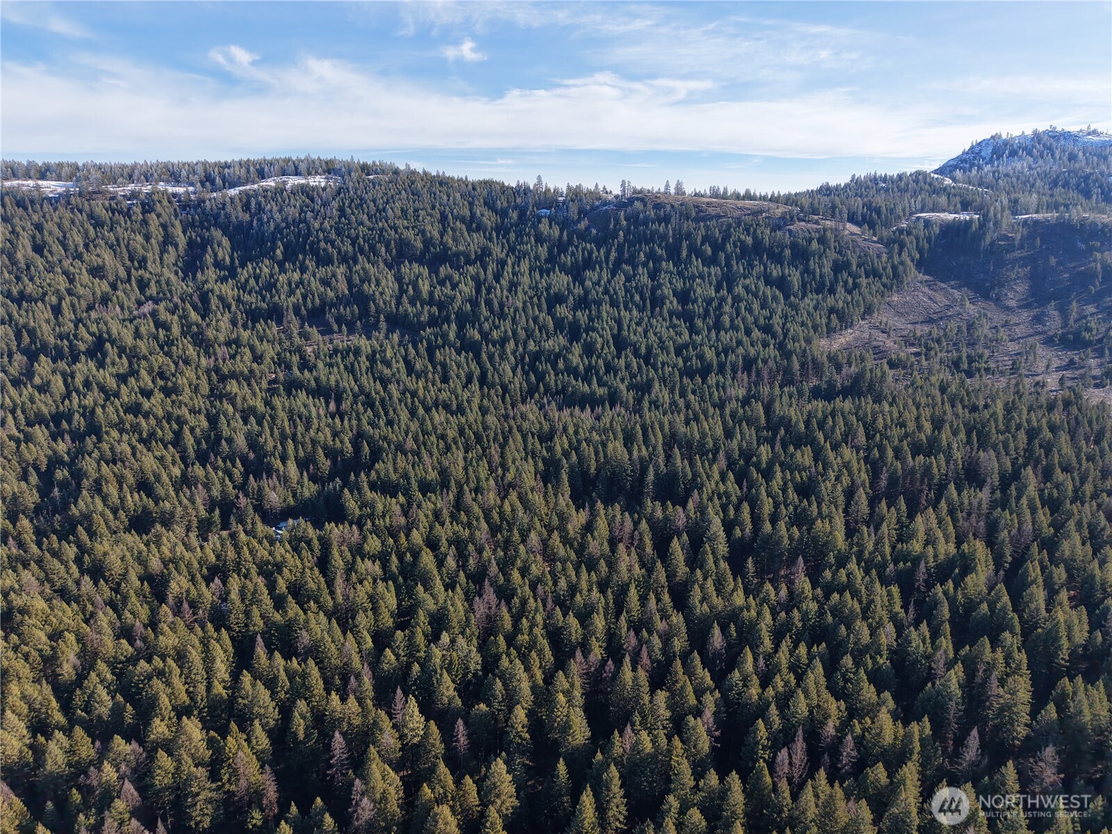 9999-tbd Lundimow Meadows Road Curlew, WA 99118 - Photo 9 of 10