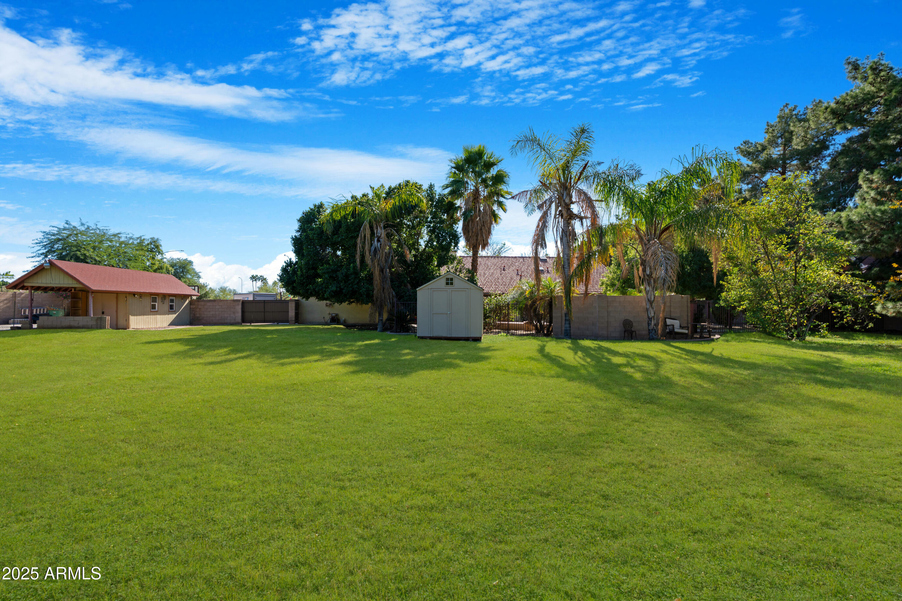 3152 East Irwin Avenue Mesa, AZ 85204 - Photo 3 of 39 a view of a yard with palm trees