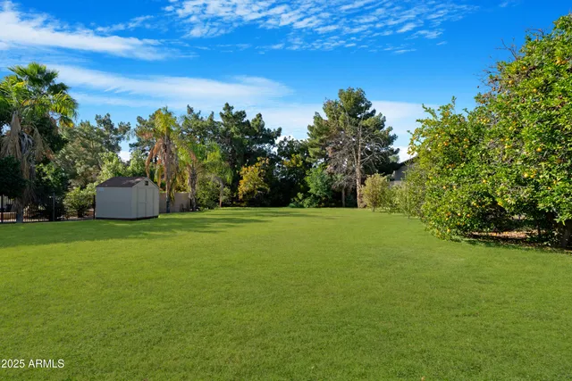 a view of a yard with palm trees