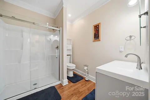 a bathroom with a granite countertop sink a toilet and shower