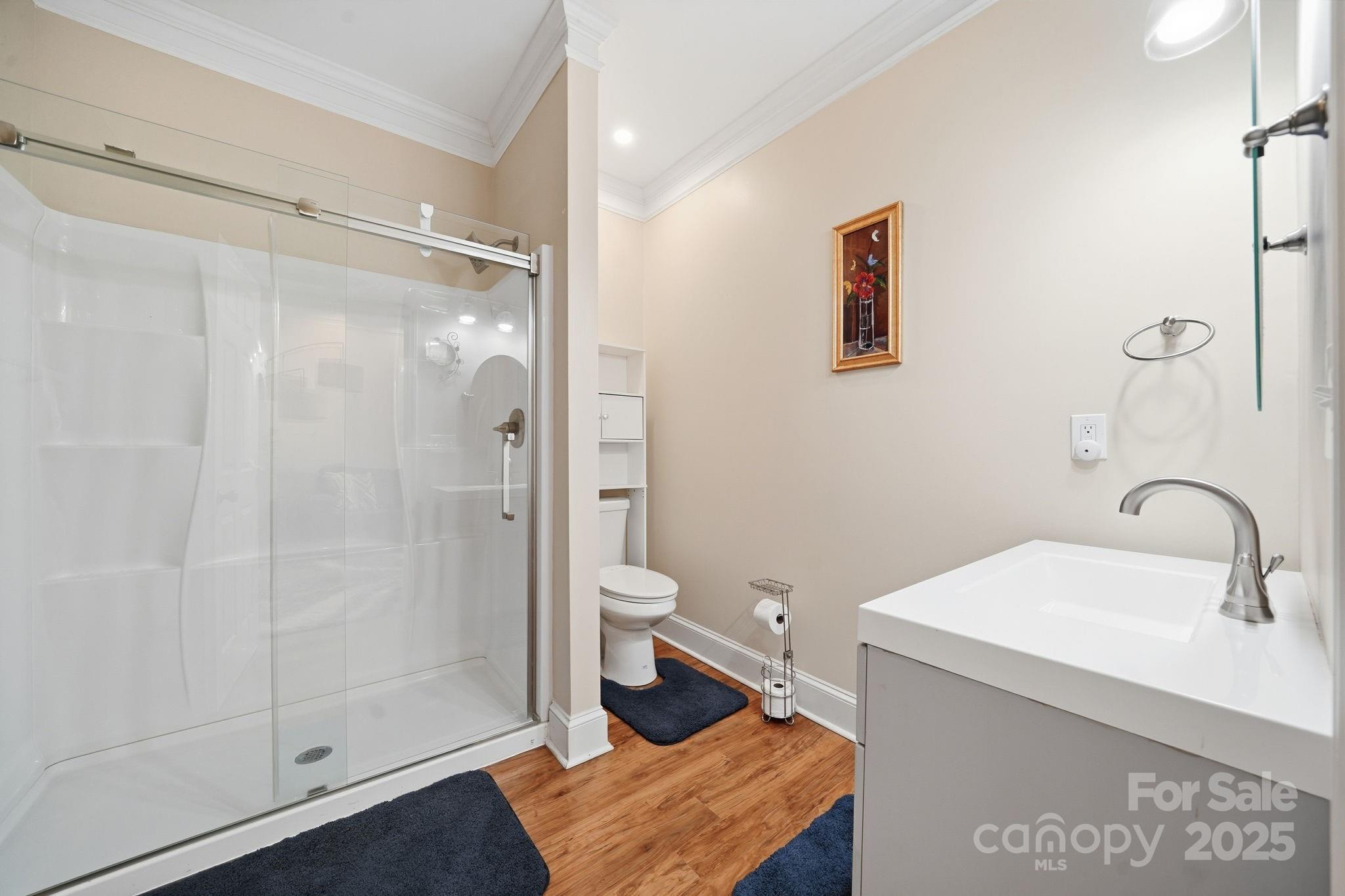 110 Nahcotta Drive Mooresville, NC 28115 - Photo 21 of 29 a bathroom with a granite countertop sink a toilet and shower