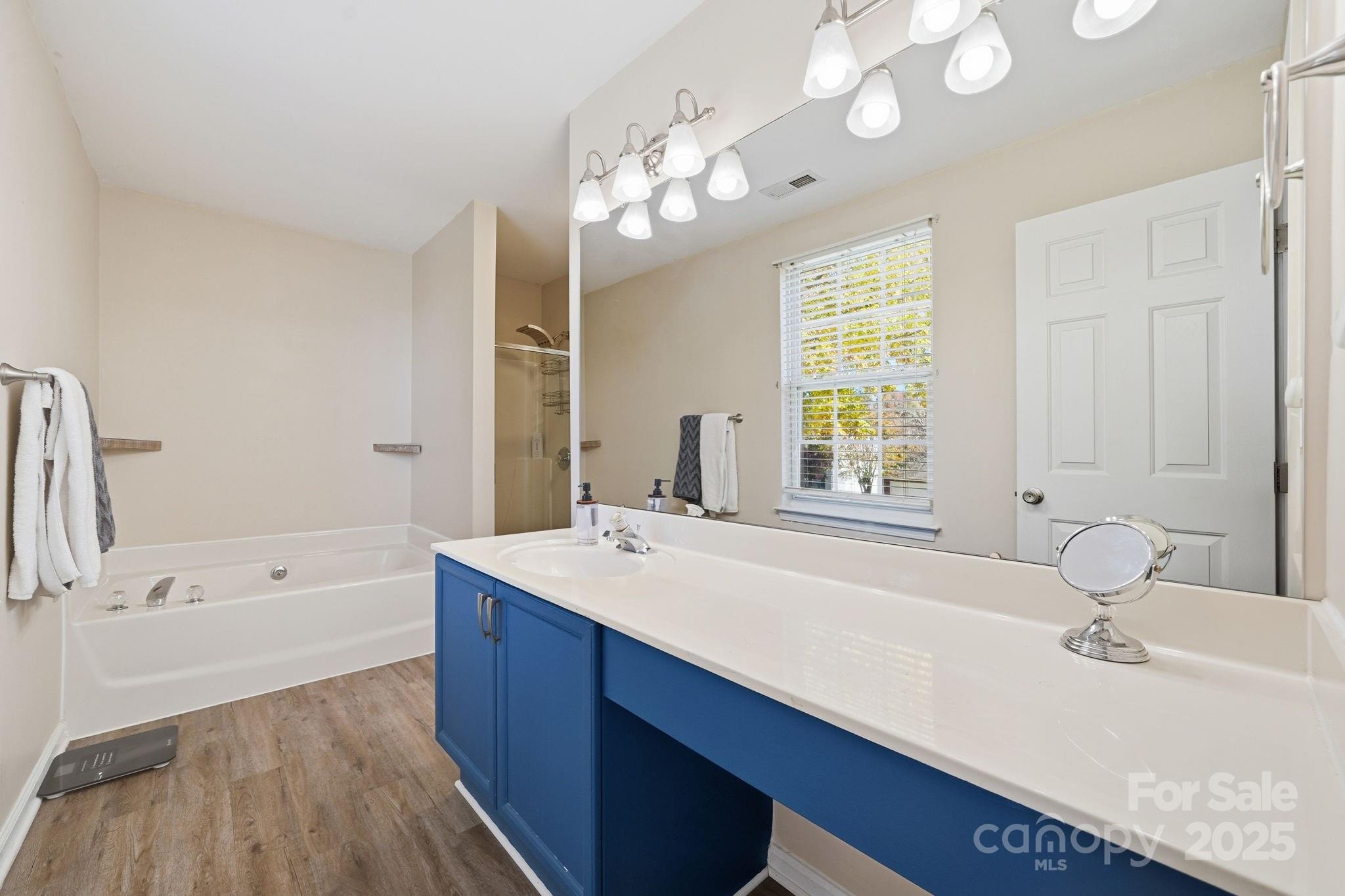 110 Nahcotta Drive Mooresville, NC 28115 - Photo 22 of 29 a bathroom with a tub a sink and mirror