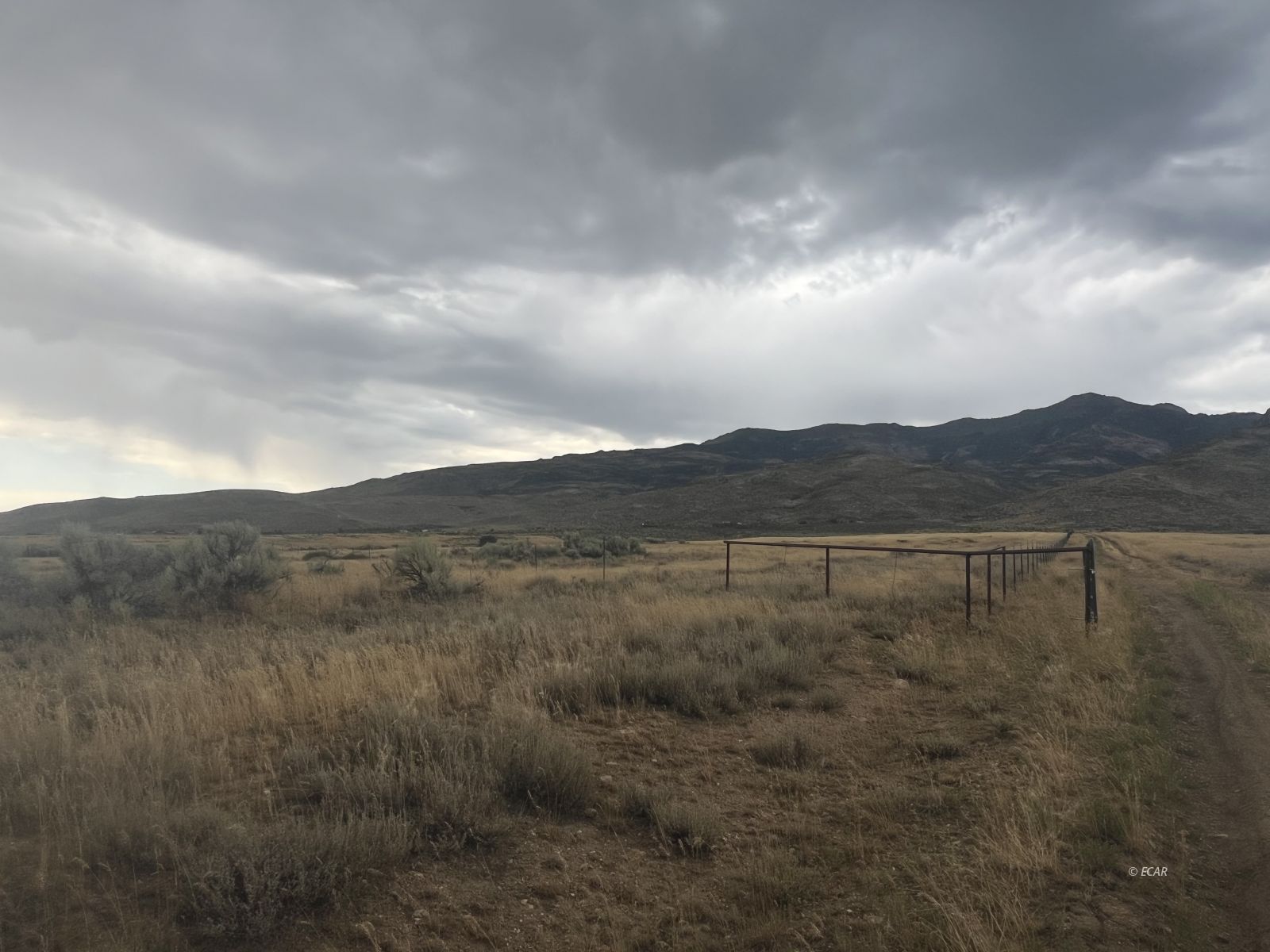 Smith Creek Ranch Spring Creek, NV 89815 - Photo 9 of 9