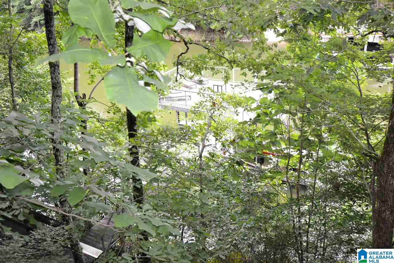 2024 County Road 6 Wedowee, AL 36278 - Photo 18 of 33