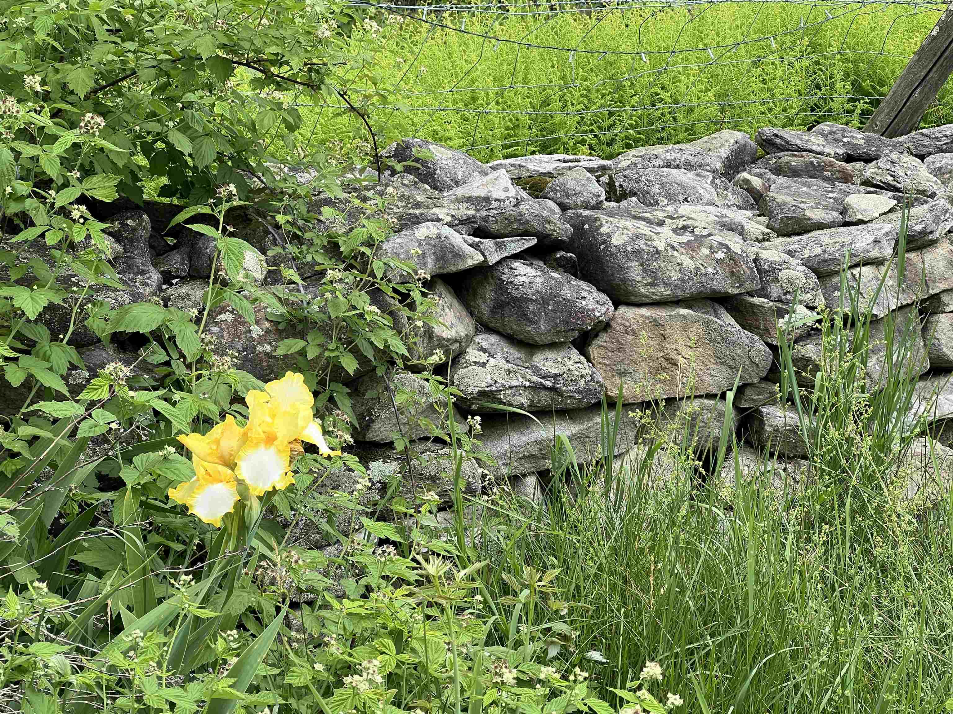 2194 Mowrey Road Jamaica, VT 05343 - Photo 25 of 50 Gallery Image 25