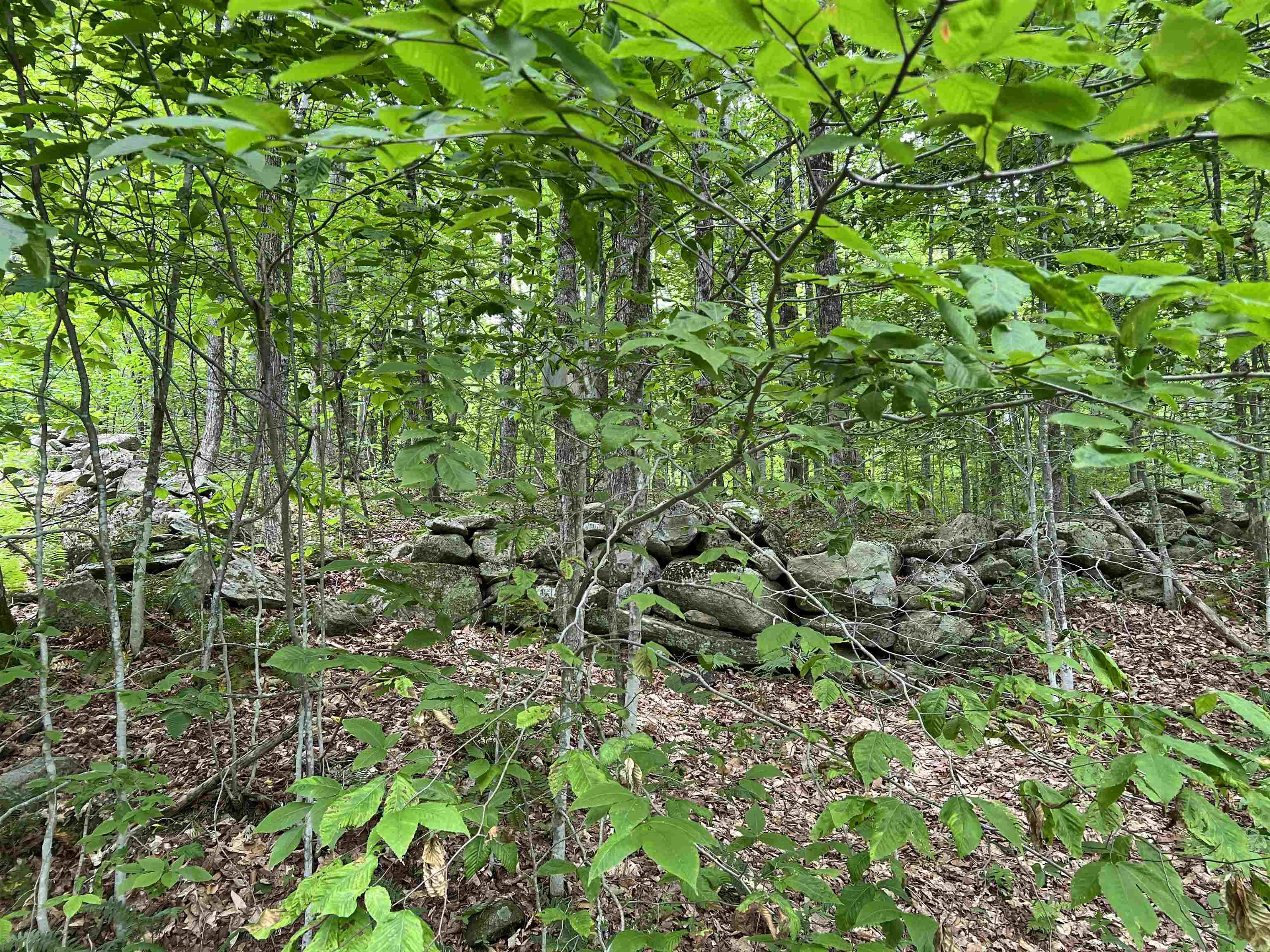 2194 Mowrey Road Jamaica, VT 05343 - Photo 27 of 50 Gallery Image 27