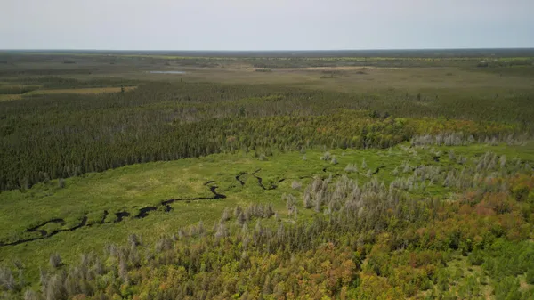 $600,000 | 609absec19t43nr13ws1/2ofse1/4, Germfask, MI 49836