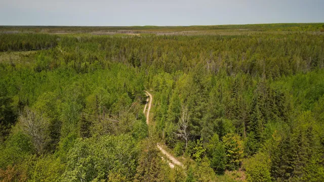 $600,000 | 609absec19t43nr13ws1/2ofse1/4, Germfask, MI 49836