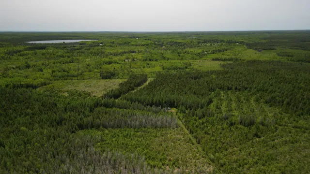 $600,000 | 609absec19t43nr13ws1/2ofse1/4, Germfask, MI 49836