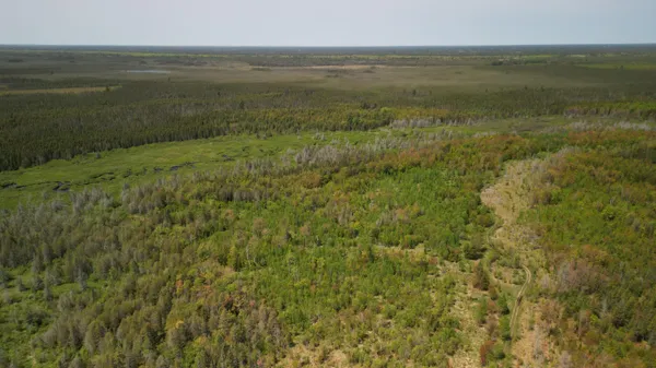 $600,000 | 609absec19t43nr13ws1/2ofse1/4, Germfask, MI 49836