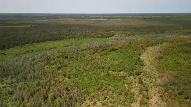 $600,000 | 609absec19t43nr13ws1/2ofse1/4, Germfask, MI 49836